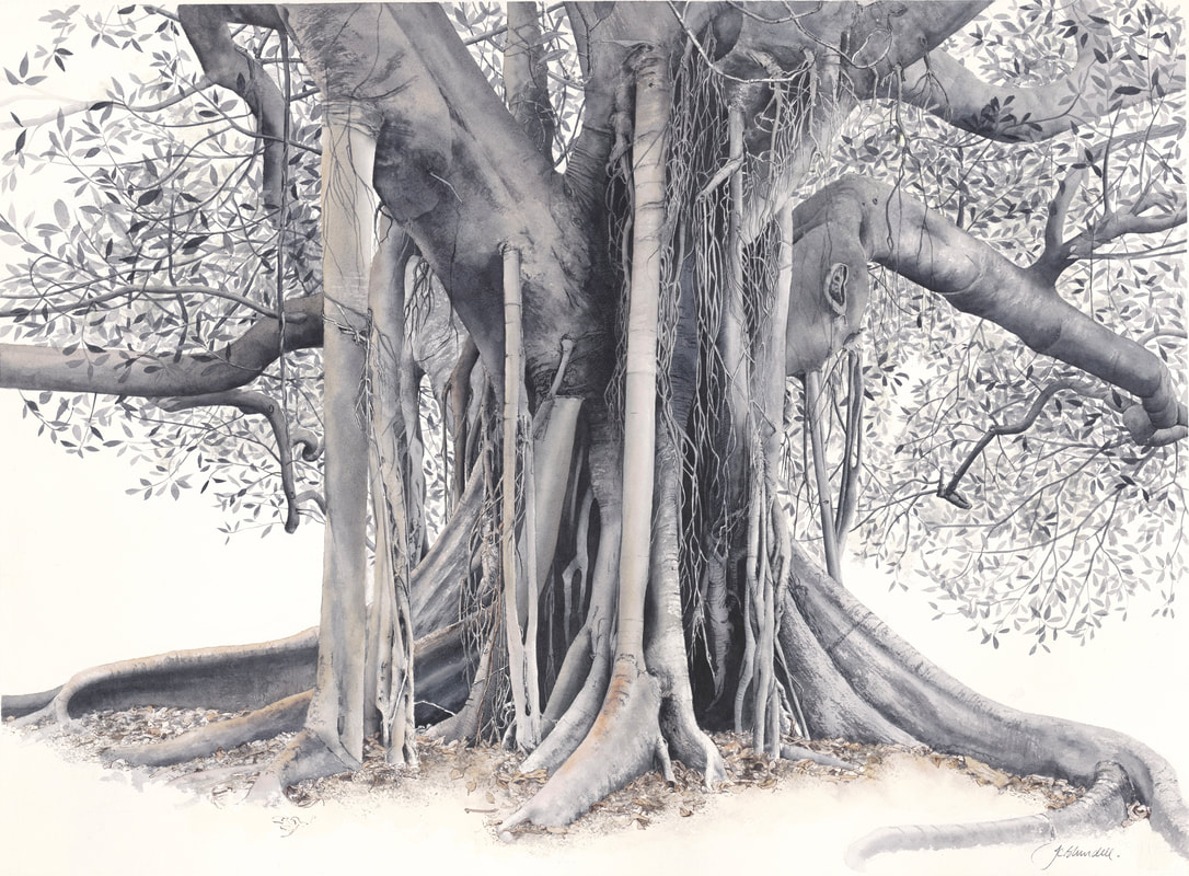 Banyan Tree Stickers for Sale | Redbubble